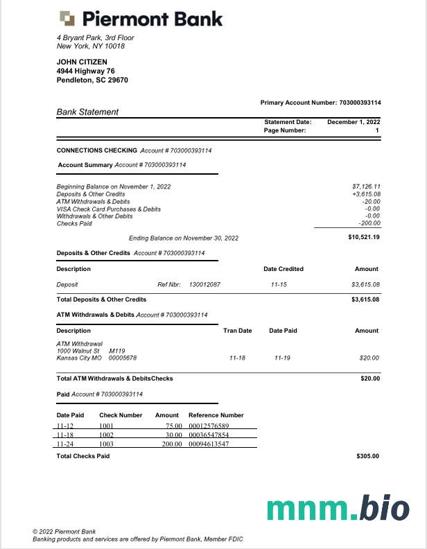 USA New York Foodpanda billing statement szablon Worda i PDF, 4 strony
